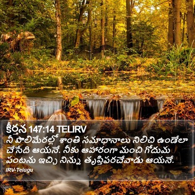 కీర్తన 147:14 TELIRV Bible Verse Image