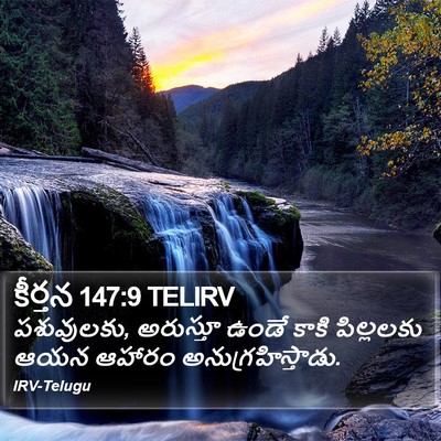 కీర్తన 147:9 TELIRV Bible Verse Image