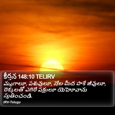 కీర్తన 148:10 TELIRV Bible Verse Image