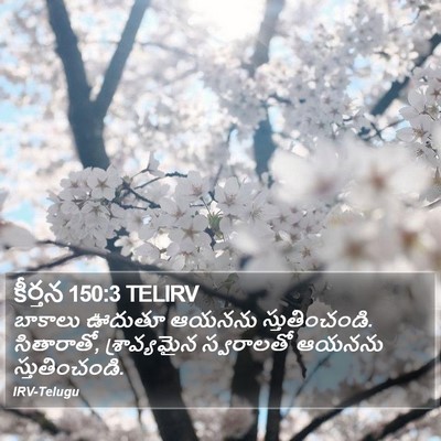 కీర్తన 150:3 TELIRV Bible Verse Image