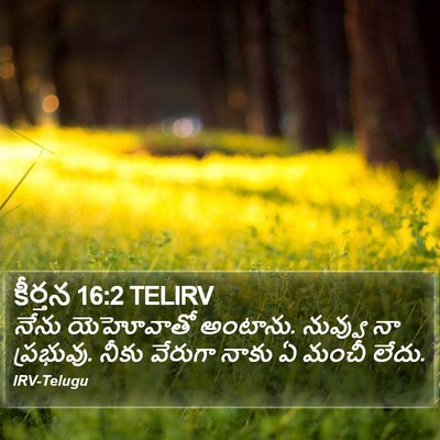 కీర్తన 16:2 TELIRV Bible Verse Image