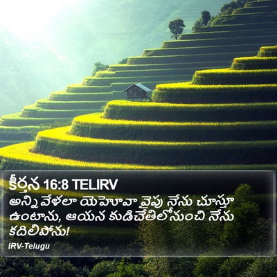 కీర్తన 16:8 TELIRV Bible Verse Image