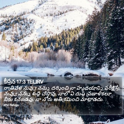 కీర్తన 17:3 TELIRV Bible Verse Image