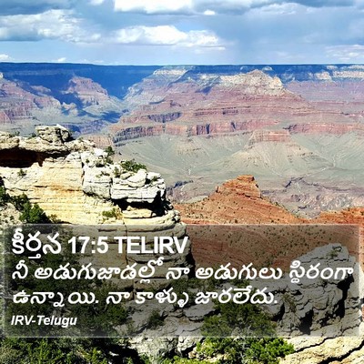 కీర్తన 17:5 TELIRV Bible Verse Image
