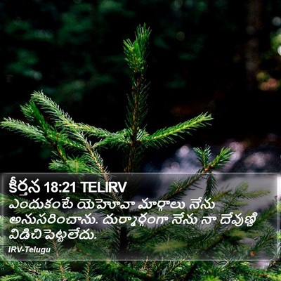 కీర్తన 18:21 TELIRV Bible Verse Image