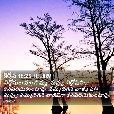 కీర్తన 18:25 TELIRV Bible Verse Image