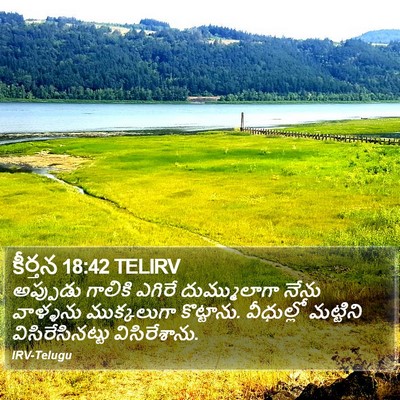 కీర్తన 18:42 TELIRV Bible Verse Image