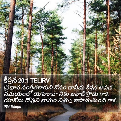 కీర్తన 20:1 TELIRV Bible Verse Image