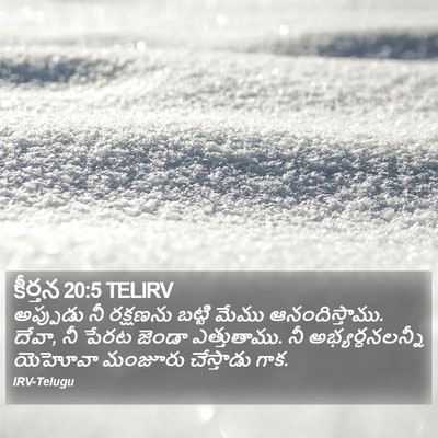 కీర్తన 20:5 TELIRV Bible Verse Image