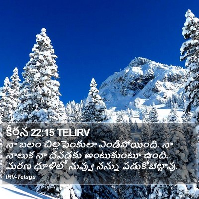 కీర్తన 22:15 TELIRV Bible Verse Image