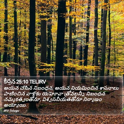 కీర్తన 25:10 TELIRV Bible Verse Image