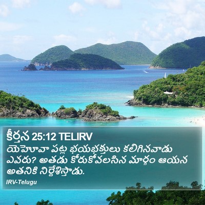 కీర్తన 25:12 TELIRV Bible Verse Image