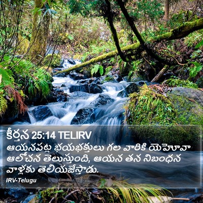 కీర్తన 25:14 TELIRV Bible Verse Image