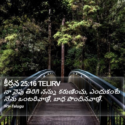 కీర్తన 25:16 TELIRV Bible Verse Image