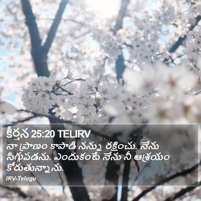 కీర్తన 25:20 TELIRV Bible Verse Image