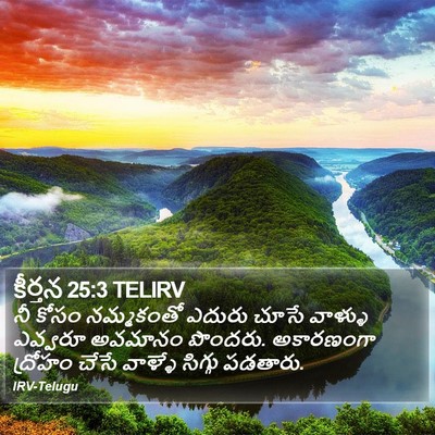 కీర్తన 25:3 TELIRV Bible Verse Image