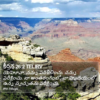 కీర్తన 26:2 TELIRV Bible Verse Image