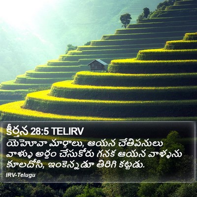కీర్తన 28:5 TELIRV Bible Verse Image