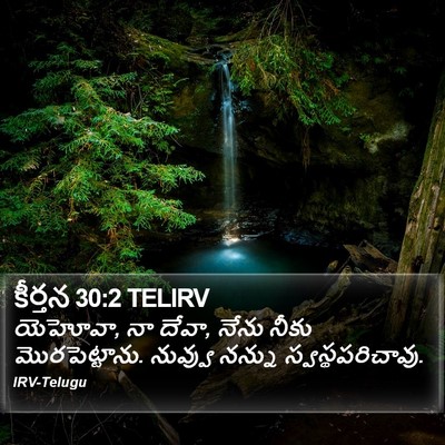 కీర్తన 30:2 TELIRV Bible Verse Image