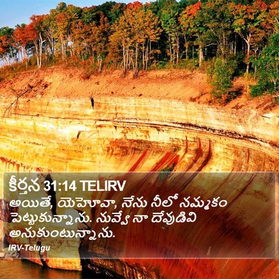 కీర్తన 31:14 TELIRV Bible Verse Image