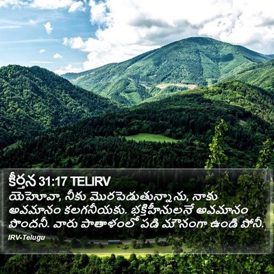 కీర్తన 31:17 TELIRV Bible Verse Image