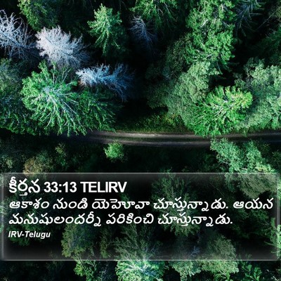 కీర్తన 33:13 TELIRV Bible Verse Image