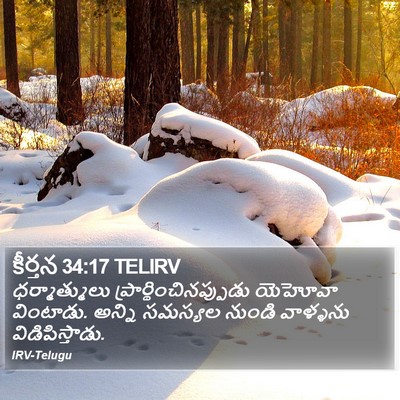 కీర్తన 34:17 TELIRV Bible Verse Image