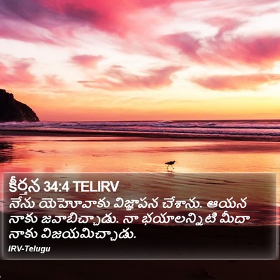 కీర్తన 34:4 TELIRV Bible Verse Image