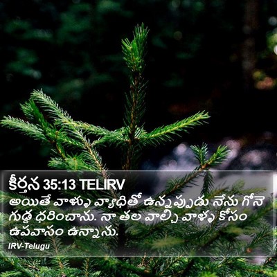 కీర్తన 35:13 TELIRV Bible Verse Image