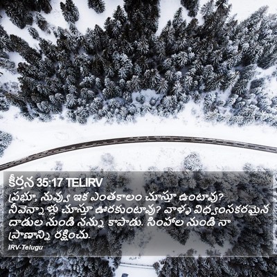 కీర్తన 35:17 TELIRV Bible Verse Image