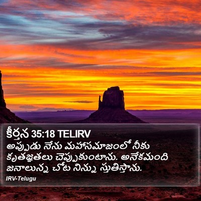 కీర్తన 35:18 TELIRV Bible Verse Image