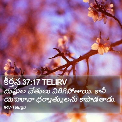 కీర్తన 37:17 TELIRV Bible Verse Image