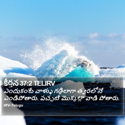 కీర్తన 37:2 TELIRV Bible Verse Image