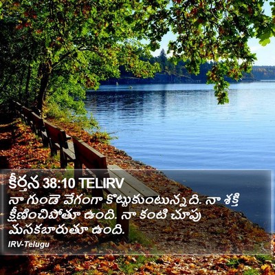 కీర్తన 38:10 TELIRV Bible Verse Image