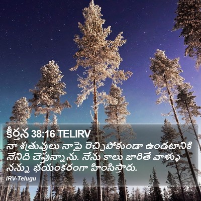 కీర్తన 38:16 TELIRV Bible Verse Image