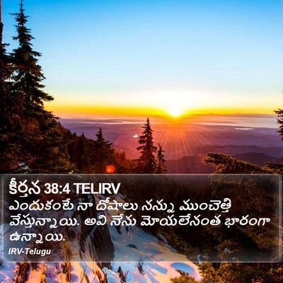 కీర్తన 38:4 TELIRV Bible Verse Image