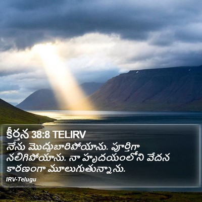 కీర్తన 38:8 TELIRV Bible Verse Image