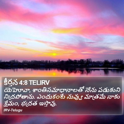 కీర్తన 4:8 TELIRV Bible Verse Image