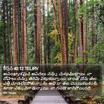 కీర్తన 40:12 TELIRV Bible Verse Image