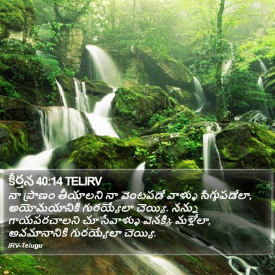 కీర్తన 40:14 TELIRV Bible Verse Image