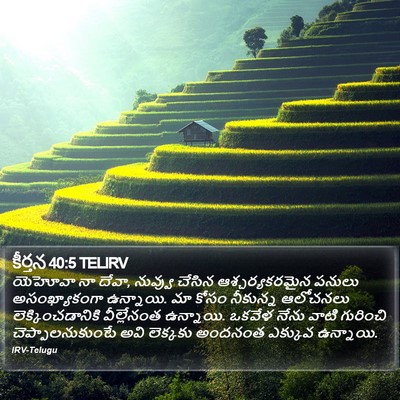 కీర్తన 40:5 TELIRV Bible Verse Image