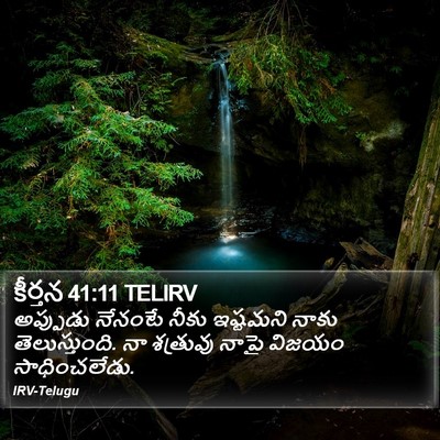 కీర్తన 41:11 TELIRV Bible Verse Image