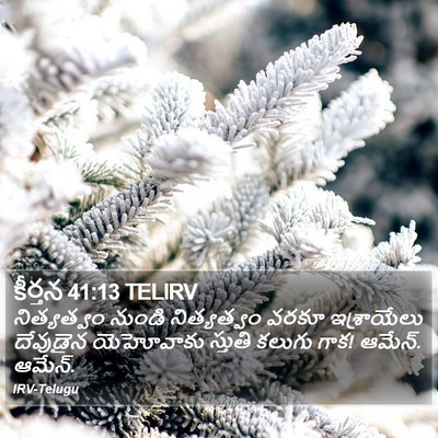 కీర్తన 41:13 TELIRV Bible Verse Image