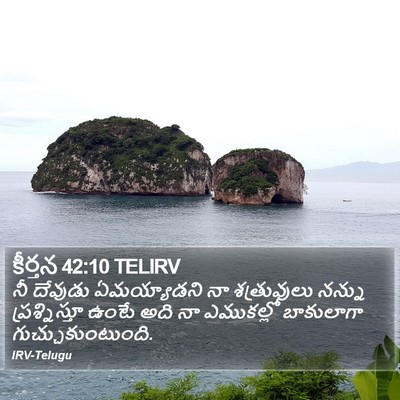 కీర్తన 42:10 TELIRV Bible Verse Image