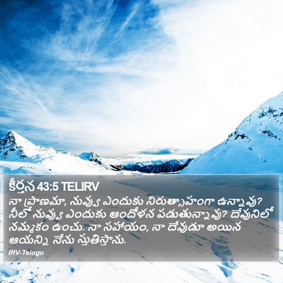 కీర్తన 43:5 TELIRV Bible Verse Image