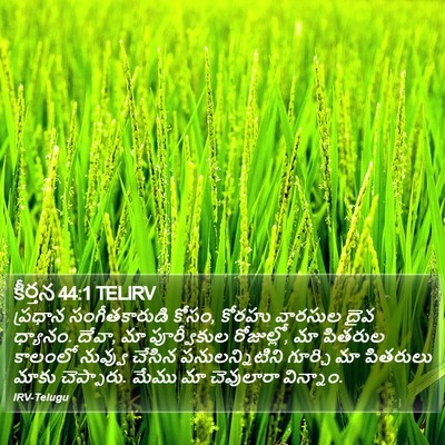 కీర్తన 44:1 TELIRV Bible Verse Image