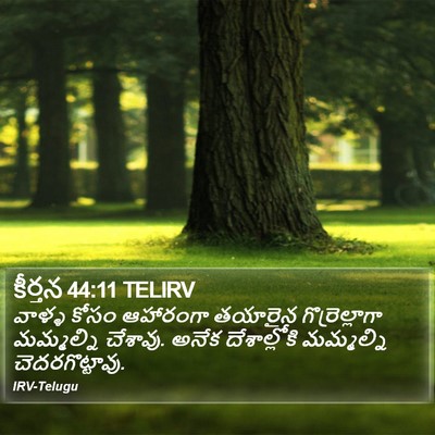 కీర్తన 44:11 TELIRV Bible Verse Image