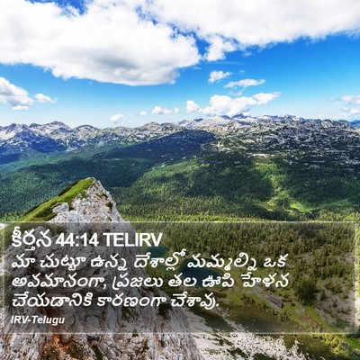 కీర్తన 44:14 TELIRV Bible Verse Image