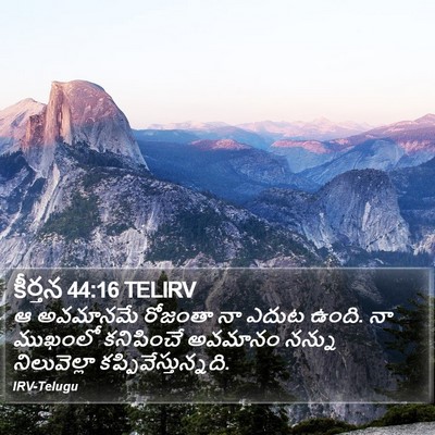 కీర్తన 44:16 TELIRV Bible Verse Image