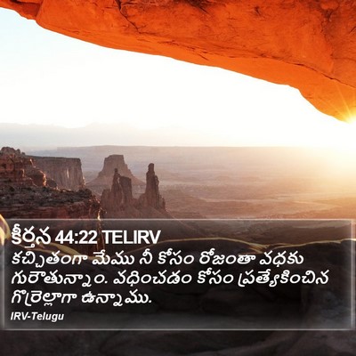 కీర్తన 44:22 TELIRV Bible Verse Image